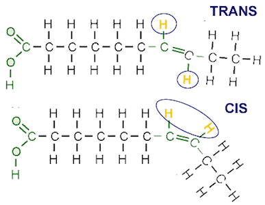 Acidi grassi cis e trans